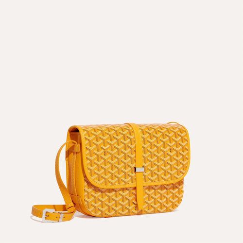 حقيبة GOYARD Belvedere MM | حقيبة Goya الرسول (متعددة الألوان) 