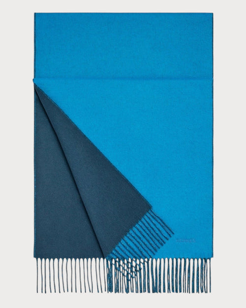 HERMES Men's Recto - Verso Muffler | 愛馬仕 男仕頸巾 (多色) - LONDONKELLY 英國名牌代購